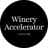 Winery Accelerator Alvar